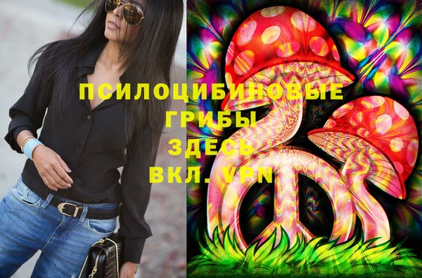 мдпв Алзамай